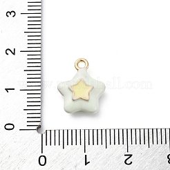 Charms del esmalte de la aleación&nbsp;ENAM-E362-08E