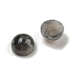 Natur Labradorit Cabochons&nbsp;G-H309-03-39