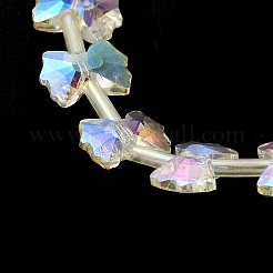 Perles en verre electroplate&nbsp;EGLA-F163-01-FR01