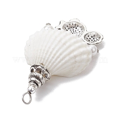 4 pendentif en coquillage spiralé naturel de 4 styles&nbsp;PALLOY-JF03143