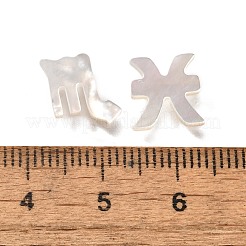 12 Stück 12 Stile natürliche weiße Muschelperlen&nbsp;BSHE-Z008-12