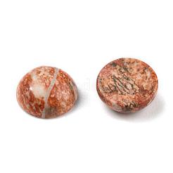 Cabochon di diaspro naturale pelle di leopardo&nbsp;G-H1596-FR-10mm-09
