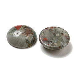 Cabochons de pierre de sang d'Afrique naturelle&nbsp;G-C115-02A-39