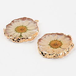 Colgantes de la resina&nbsp;RESI-R428-004