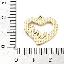 Legierung rhinestone-anhänger&nbsp;FIND-U026-13G