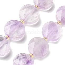 Naturperlen Stränge ametrine&nbsp;G-C116-A163-03
