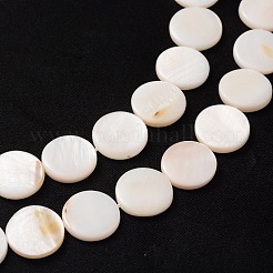 Natürlichen weißen Muschelperlen Stränge&nbsp;PBB251Y-2