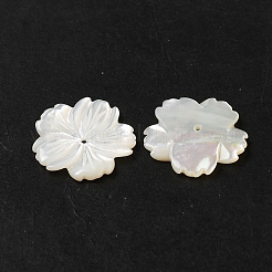 Natürlichen weißen Muschelperlen&nbsp;SHEL-M021-08A