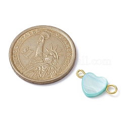 Breloques de connecteur teints en coquille d'eau douce naturelle&nbsp;PALLOY-JF02244-01