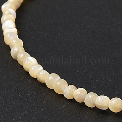 Natürliche Trochidschale / Trochusschalenperlenstränge&nbsp;SSHEL-S266-023B-01