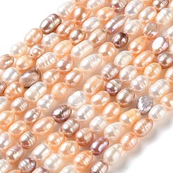 Fili di perle di perle d'acqua dolce coltivate naturali&nbsp;PA-CBABE82-01A