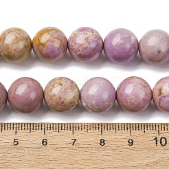 Natürliche Lepidolith / lila Glimmer Steinperlen Stränge&nbsp;G-K401-A01-12mm