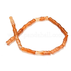 Filo di perline di agata naturale&nbsp;G-Z144-A02-02D