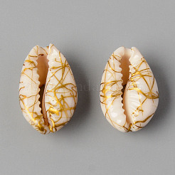 Perle naturali di conchiglia di ciprea&nbsp;SSHEL-N0232-08E