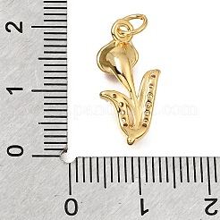 Messing micro pave klare zirkonia anhänger&nbsp;CU-G605-18G-03