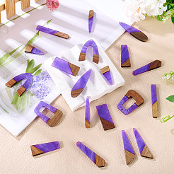 20pcs 10 estilos colgantes de resina y madera&nbsp;WOOD-TA0002-67A