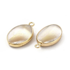 Natürliche Trochus-Muschel-Anhänger&nbsp;PEAR-P004-49KCG