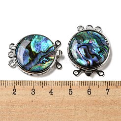 Paua Muschel Box Verschluss&nbsp;G-C104-05C-P