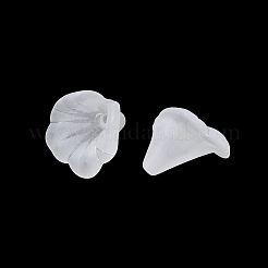 Embouts de perles acryliques dépolis&nbsp;AC-CBA81FF-04A