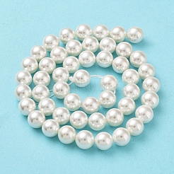 Shell-Perle Perle Stränge&nbsp;X-BSHE-L026-03-8mm