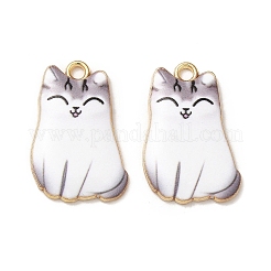 Pendentifs d'émail en alliage&nbsp;X-ENAM-M046-12G-D