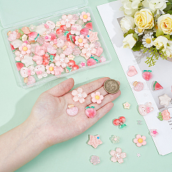 116pcs 18 Arten transparente Harzcabochons&nbsp;RESI-PH0002-65