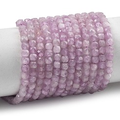 Naturperlen Stränge kunzite&nbsp;G-P587-C01-01A