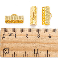 Eisenband Crimp-Enden&nbsp;E183Y-G
