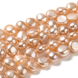 Hebras de perlas de agua dulce cultivadas naturales, dos lados pulidos, grado 6a+, PapayaWhip, 5~6x5.5~6x4.5~5mm, agujero: 0.6 mm, aproximamente 60~61 pcs / cadena, 13.58'' (34.5 cm)