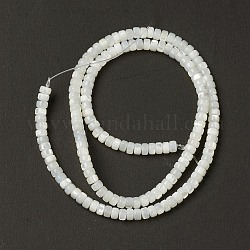 Natürliche Trochidschale / Trochusschalenperlen, heishi Perlen, Flache Runde / Scheibe, creme-weiß, 4x2.5 mm, Bohrung: 0.9 mm, ca. 158 Stk. / Strang, 15.47'' (39.3 cm)