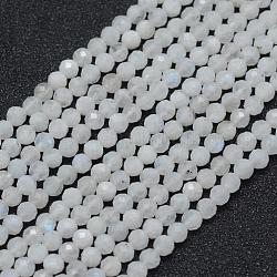 Brins de perles de pierre de lune arc-en-ciel naturel, ronde, facette, 3mm, Trou: 0.5mm, Environ 113 pcs/chapelet, 15.35 pouce (39 cm)