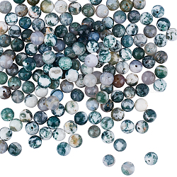 Olycraft natürliche Baumachat Perlen Stränge, Runde, 8 mm, Bohrung: 1.2 mm, ca. 47 Stk. / Strang, 15.35 Zoll (39 cm), 5 Stränge / box