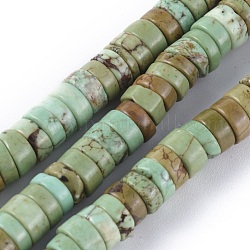Fili di perline di magnesite naturale, perline Heishi, tinti e riscaldato, Rotondo piatto / disco, verde mare scuro, 6x3mm, Foro: 0.8 mm, circa 152pcs/filo, 15.1 pollice (38.5 cm)