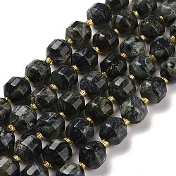 Chapelets de perles de jasper kambaba naturel, avec des perles de rocaille, tambour à barillet bicône à facettes, 9.5x9mm, Trou: 1mm, Environ 31~32 pcs/chapelet, 14.80'' (37.6 cm)