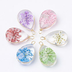 Glass Pendants, with Dried Flower Inside & Brass Findings, teardrop, Golden, Mixed Color, 22~24x13x8mm, Hole: 2mm