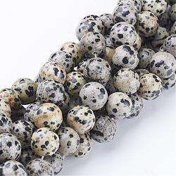 Chapelets de perles en jaspe dalmatien naturelle, ronde, 12mm, Trou: 1mm