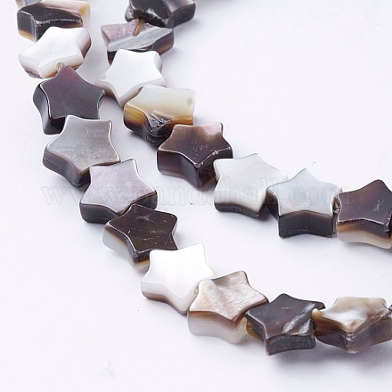 Naturel noir à lèvres shell perles brins SSHEL-E571-48-1