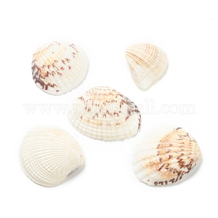 Natural Shell Beads BSHE-H015-16-1