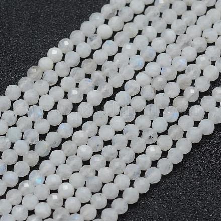 Brins de perles de pierre de lune arc-en-ciel naturel G-E411-08-3mm-1