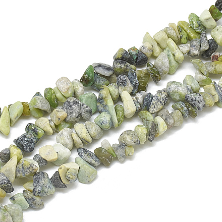 Natural Serpentine Beads Strands G-S314-17-1