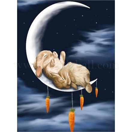 Diy прямоугольный кролик тема алмазная живопись наборы DIAM-PW0004-020-1