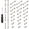 Iron Binding Chicago Screws, for Photo Album Leather Craft Fasteners, with Flat Head Screwdriver, Platinum, 80pcs