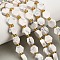 Natural Howlite Beads Strands, Hexagon, with Seed Beads, 9x10x5mm, Hole: 0.8mm, about 15pcs/strand, 7.09''(18cm)
