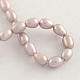 Natural Cultured Freshwater Pearl Beads Strands PEAR-Q003-5mm-02-2