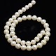Natural Cultured Freshwater Pearl Beads Strands PEAR-L001-I-13-3