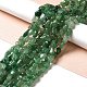 Natural Green Aventurine Beads Strands G-I351-B06-4