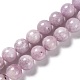 Perles naturelles de perles de lépidolite G-H247-11D-1