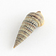 Spiral Shell Home Decorations SSHEL-S001-06-3