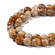 Natural Fossil Coral Beads Strands G-C038-02T-4