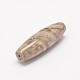 Natural Fossil Coral Beads G-P076-29-2